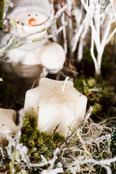 Similar image 2956242