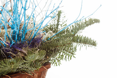 Similar image 2956255