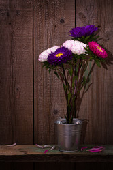 Similar image 2956265