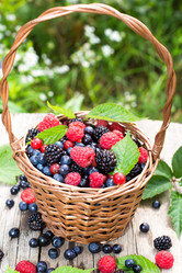 Similar image 2956273