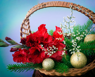 Similar image 2956279