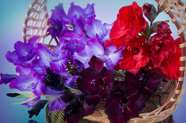 Similar image 2956281