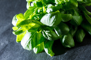 Similar image 2956288