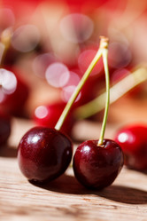 Similar image 2956291