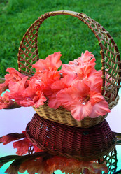 Similar image 2956329