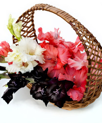 Similar image 2956330