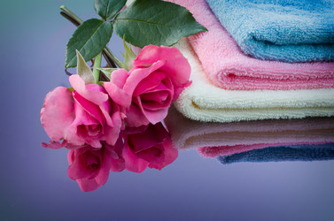 Similar image 2956331