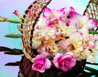 Similar image 2956332