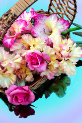 Similar image 2956333