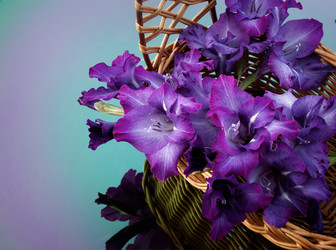 Similar image 2956336