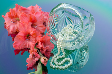 Similar image 2956337