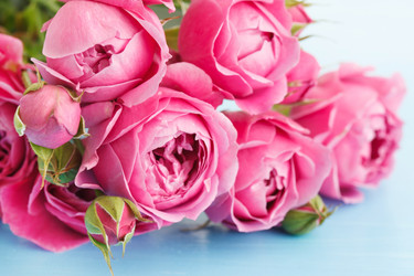 Similar image 2956341