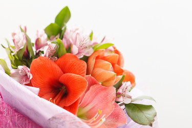 Similar image 2956354