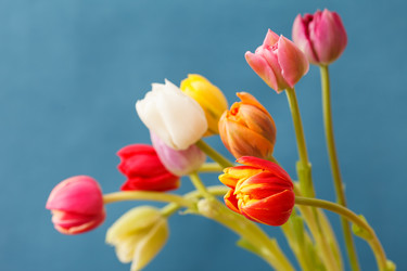 Similar image 2956378