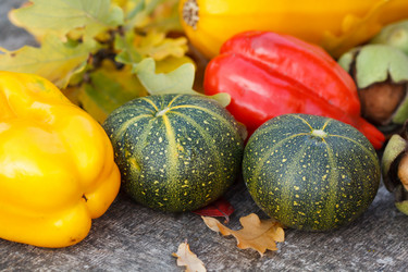 Similar image 2956384