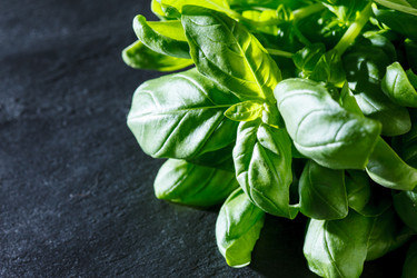 Similar image 2956404