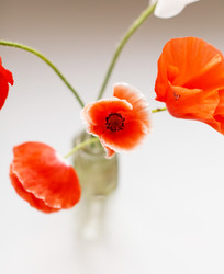 Similar image 2956409