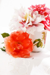 Similar image 2956413