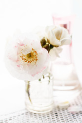 Similar image 2956414