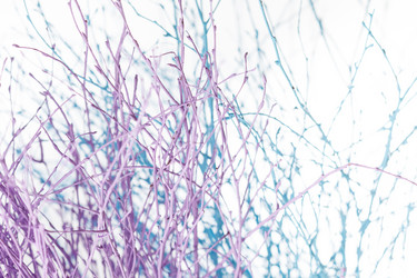 Similar image 2956420