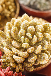 Similar image 2956422