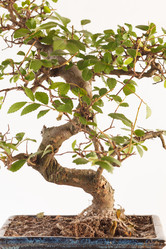 Similar image 2956424