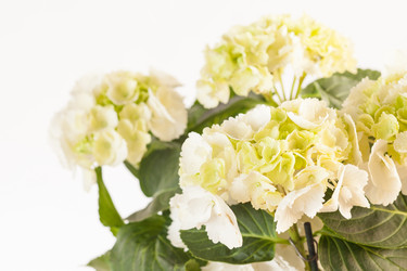 Similar image 2956426