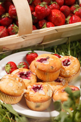 Similar image 2956443