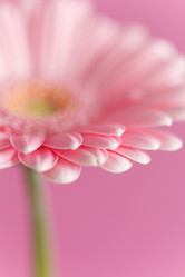 Similar image 2956454