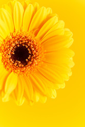 Similar image 2956465