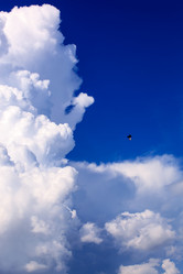 Similar image 2956519