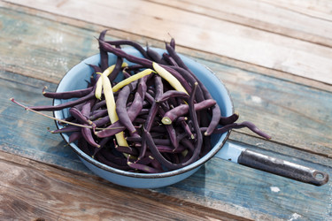 Similar image 2956554