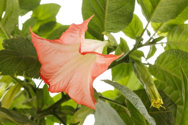 Similar image 2956556