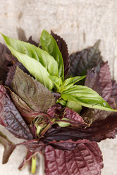 Similar image 2956564