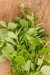 Similar image 2956565