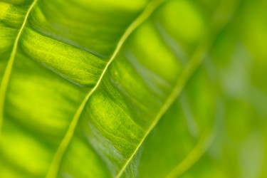 Similar image 2956611