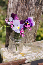 Similar image 2956612