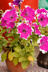 Similar image 2956633