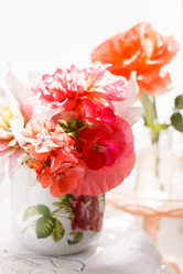 Similar image 2956636