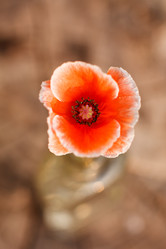 Similar image 2956644