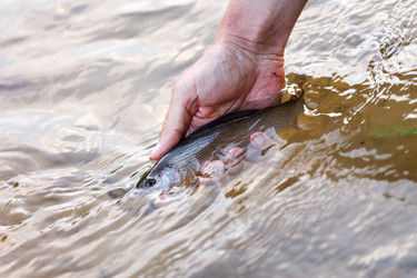 Similar image 2956646