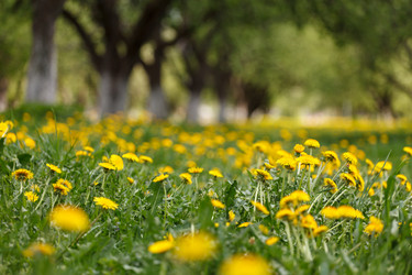 Similar image 2956713