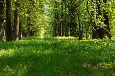 Similar image 2956714