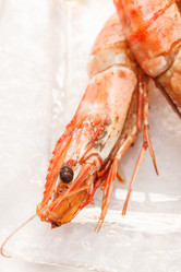 Similar image 2956744