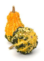 Similar image 2956779