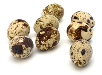 Similar image 2956800