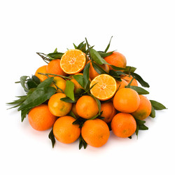 Similar image 2956804