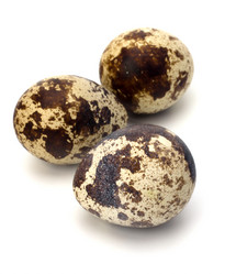 Similar image 2956829