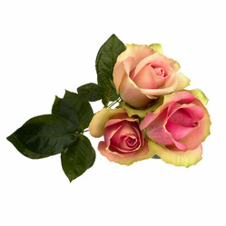 Similar image 2956842