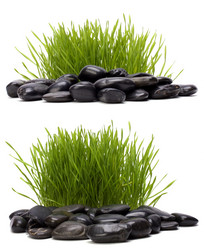 Similar image 2956850